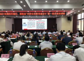 潘玉良培训现场