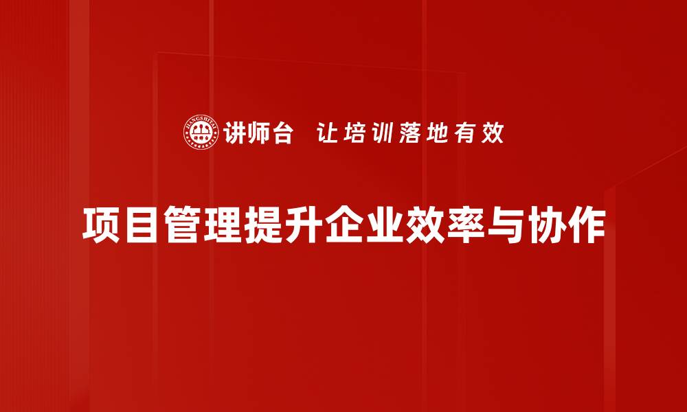 项目管理提升企业效率与协作