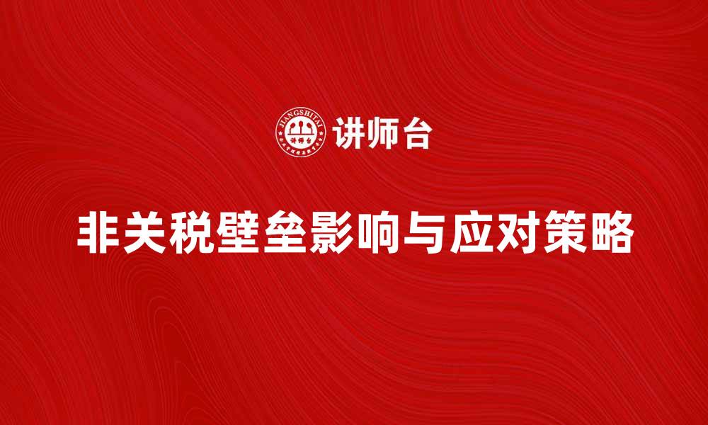 非关税壁垒影响与应对策略