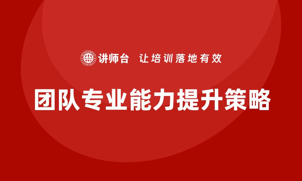 团队专业能力提升策略