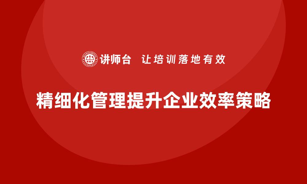 精细化管理提升企业效率策略